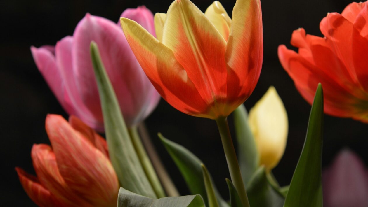 Bezpečnostní výzvy ve FinTech sektoru: Ochrana dat