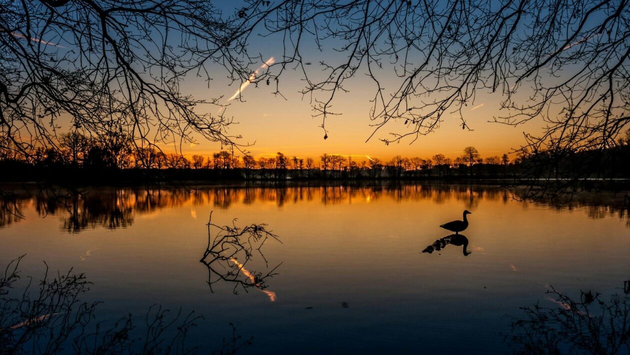 Integrace AR s IoT a průmyslovými systémy: Synergie