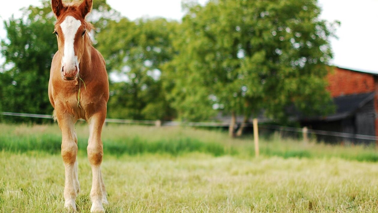 Tvorba 3D modelu: Od polygonu po texturu – postup