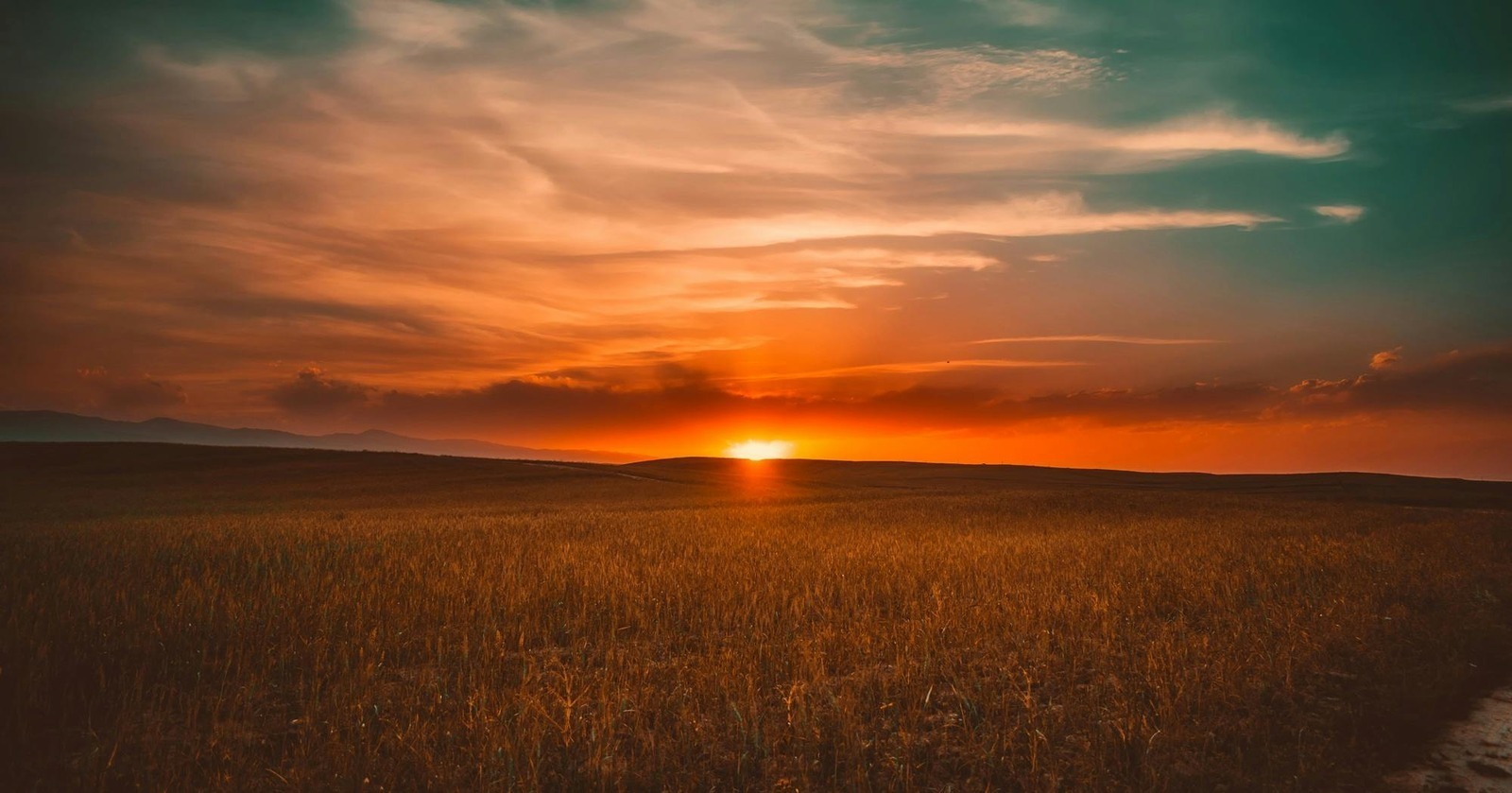 Export formátů: OBJ, FBX, GLTF – co zvolit