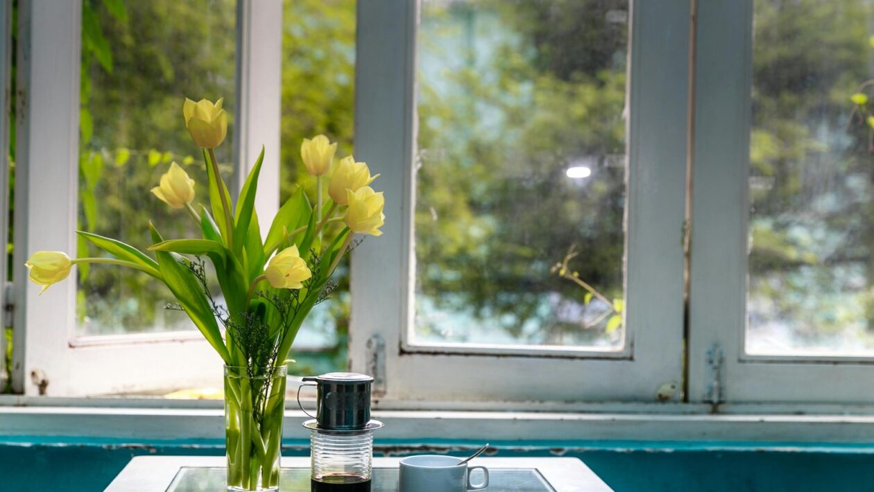 Distribúcia obsahu a dátové uzly (IXP): Optimalizácia a redundancia internetu