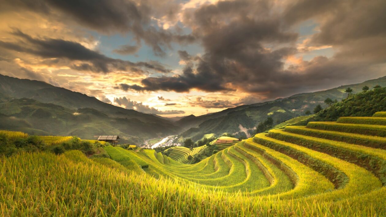 Budoucnost infrastruktury: Decentralizace, Web 3.0 a síťová neutralita