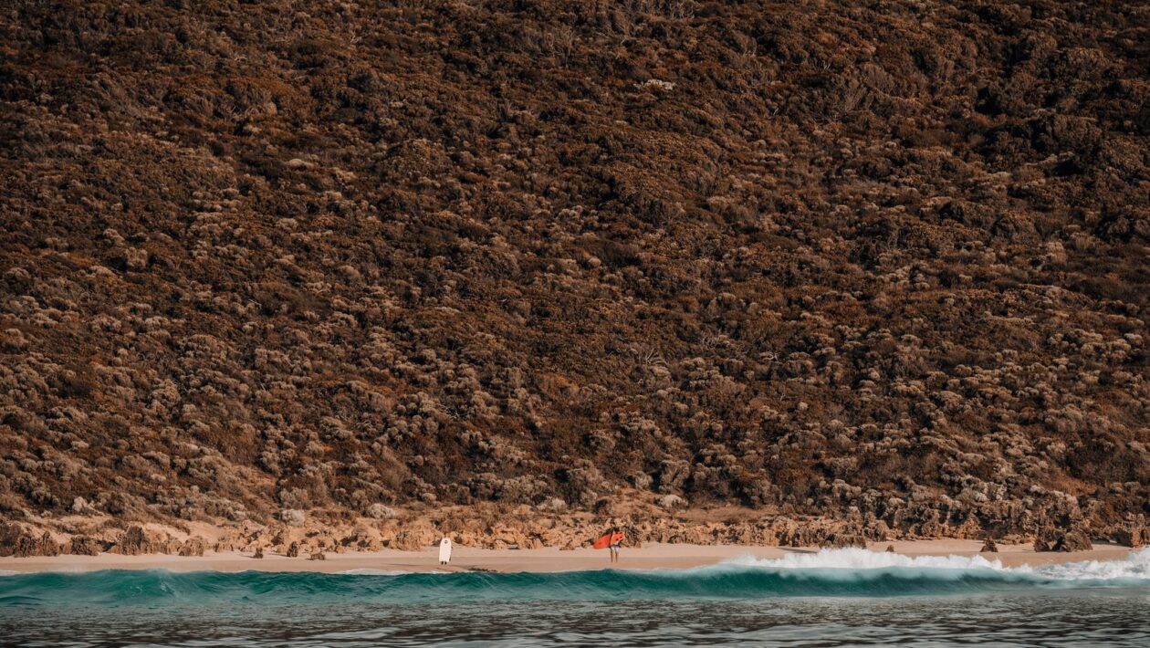 Systémy chytré domácnosti (BMS): Architektura a funkční integrace