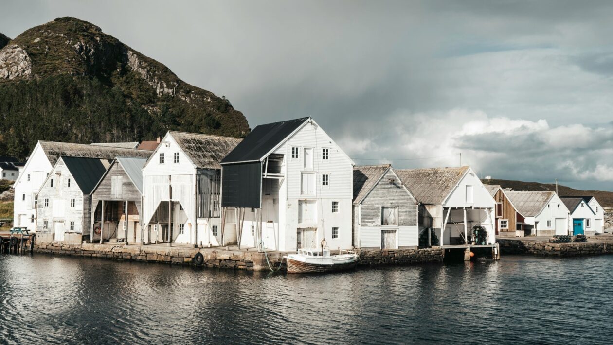 Role projektového manažéra v IT tíme: Lídrovanie, komunikácia a dohľad nad dodávkami