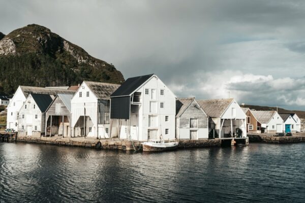 Role projektového manažéra v IT tíme: Lídrovanie, komunikácia a dohľad nad dodávkami