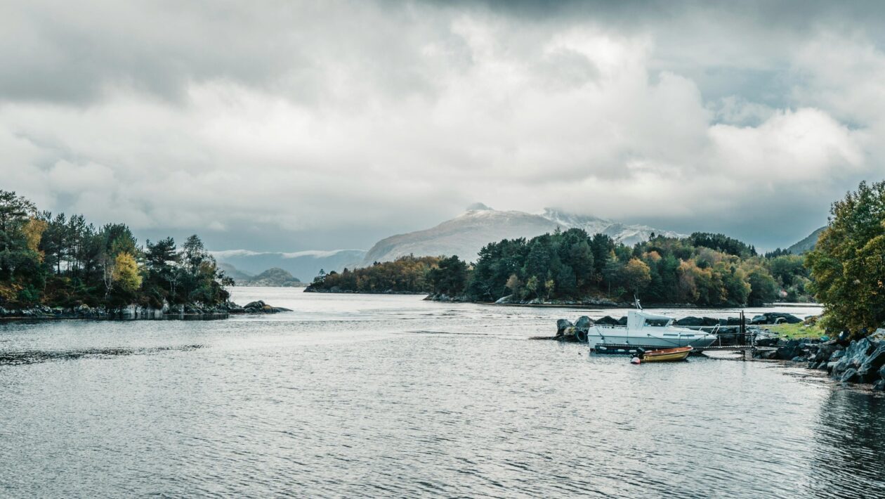 Reporting a komunikace v rámci IT projektů: Transparentnost a stakeholder management