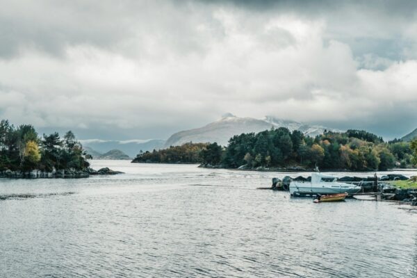 Reporting a komunikace v rámci IT projektů: Transparentnost a stakeholder management