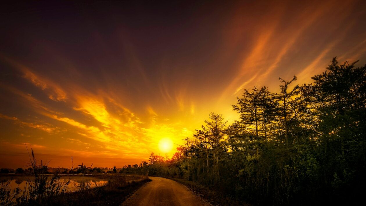 ITIL: Koncept a význam pre správu IT služieb (ITSM)