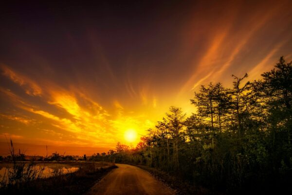 ITIL: Koncept a význam pre správu IT služieb (ITSM)