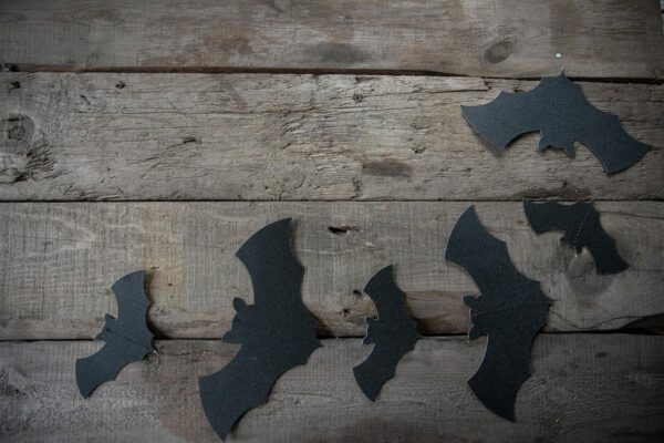 Influencer zľavové kódy: transparentné označenie (disclosure) a pravdivá dostupnosť