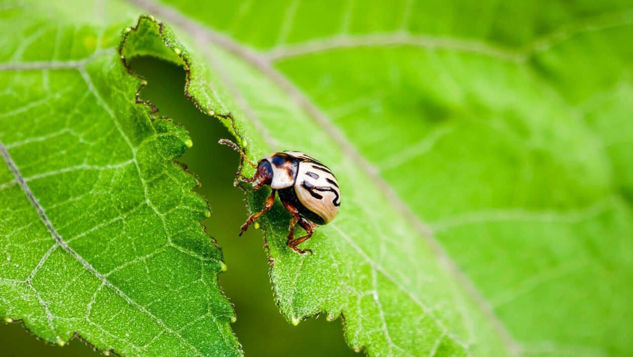 UX pre reklamácie: vytvorte self-service portál s jasnými SLA (service level agreement)