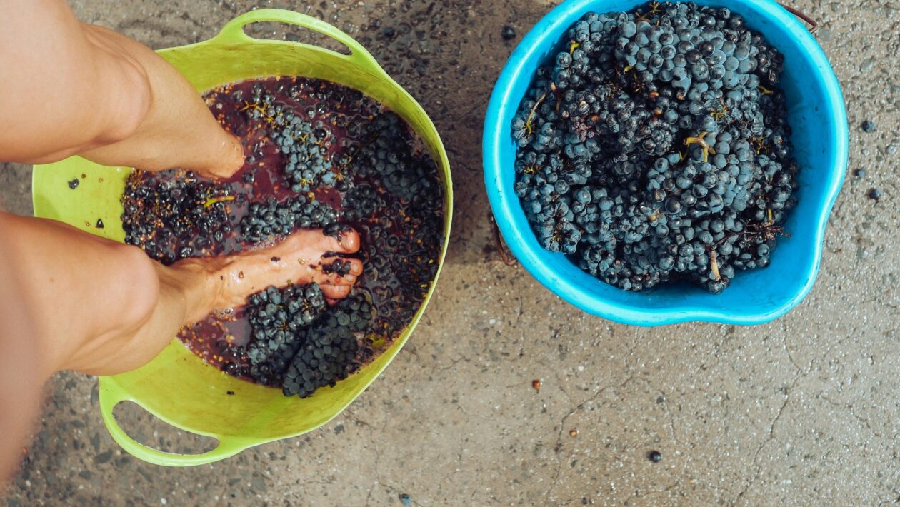 Segmentácia e-mailov: frequency capping a maximálna obsahová relevancia