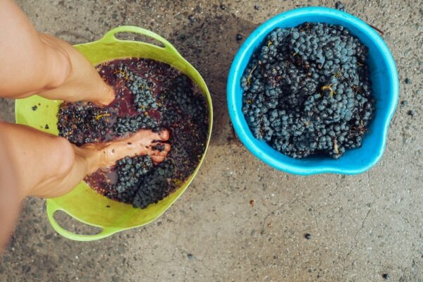 Segmentácia e-mailov: frequency capping a maximálna obsahová relevancia