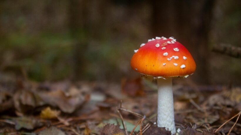 Najpredávanejšie a trendové produkty: zverejnite zdroj dát a timestamp pre dôveru