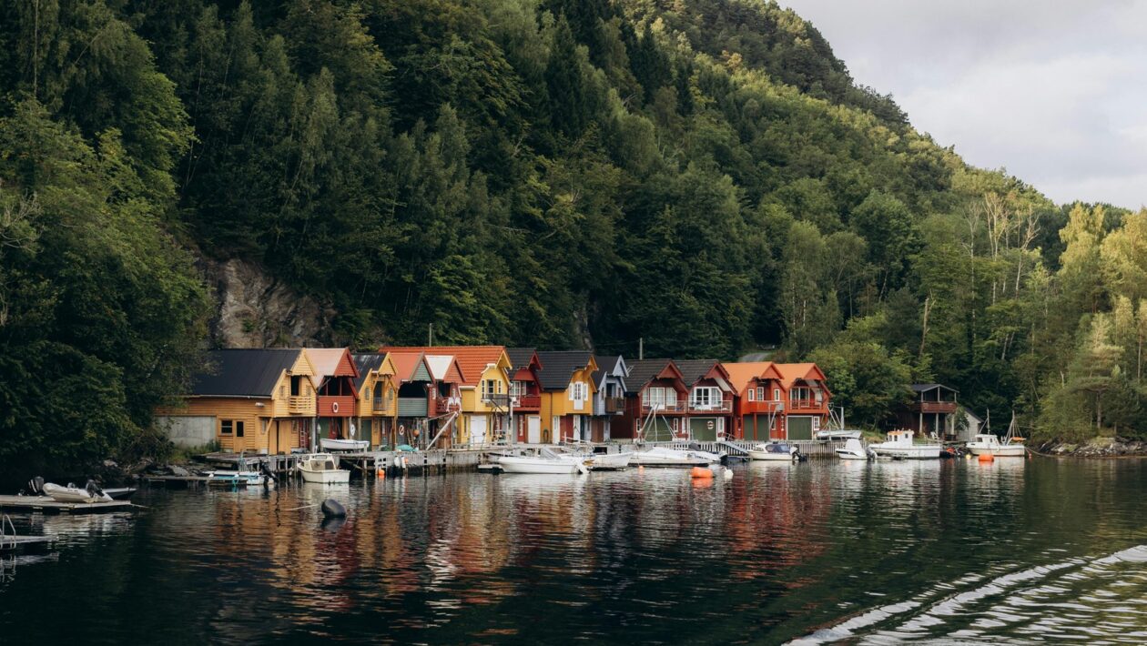 Zdravotné wearables a poistné riziká: Využitie dát pre poisťovacie a regulačné účely