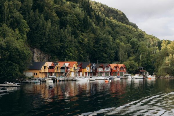 Zdravotné wearables a poistné riziká: Využitie dát pre poisťovacie a regulačné účely